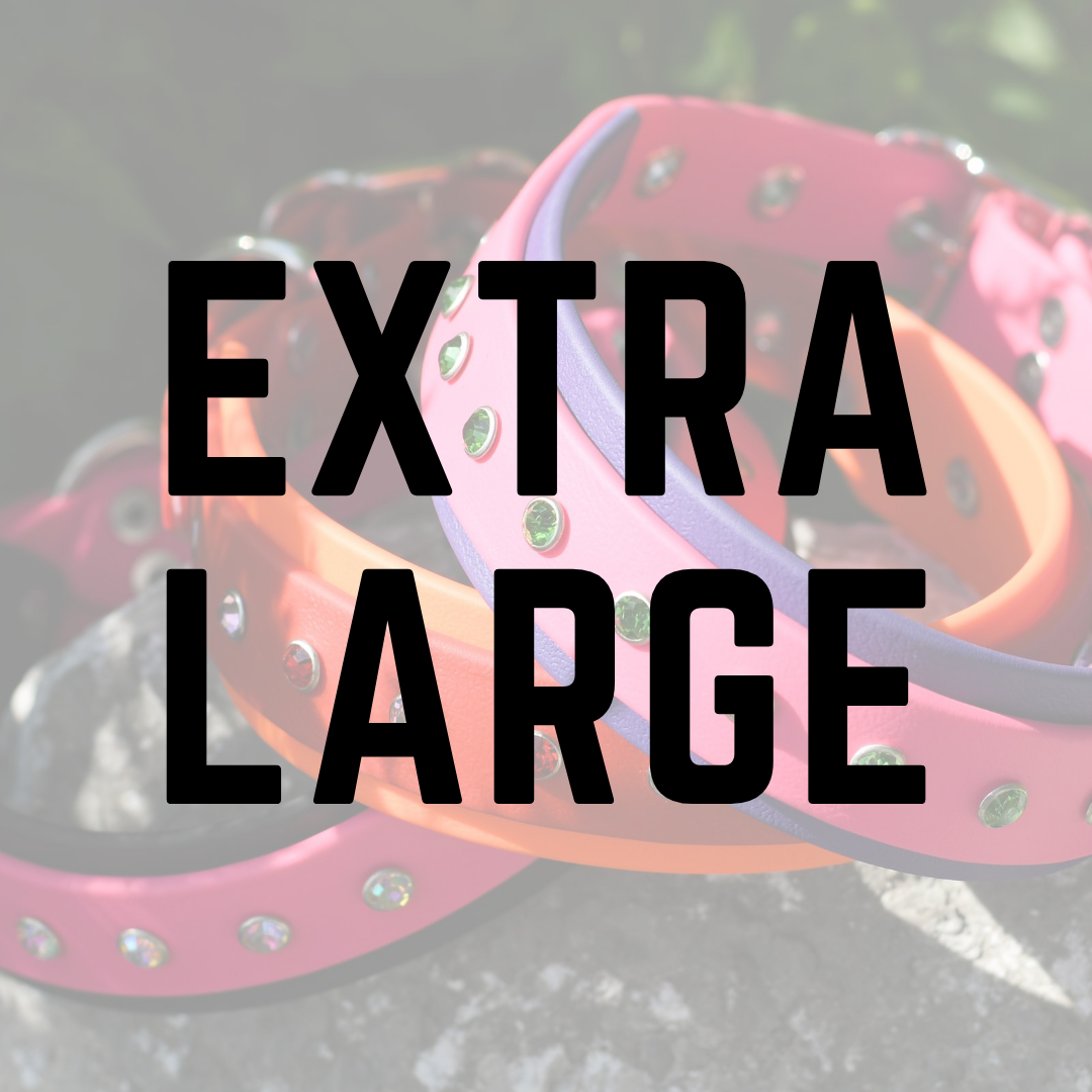 Extra extra large dog cheap collars