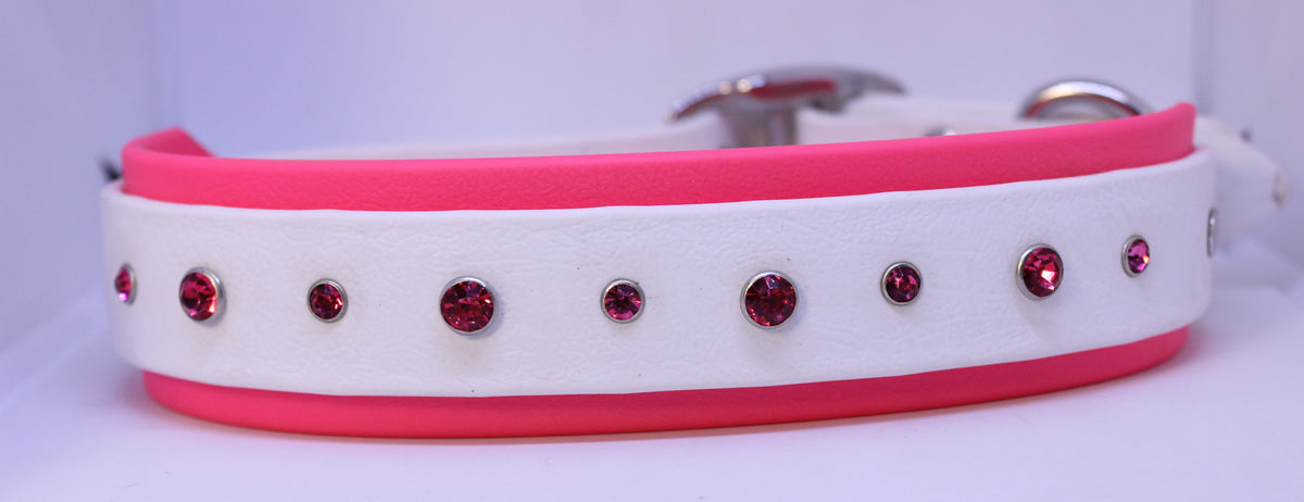 EXTRA LARGE CUSTOM BioThane Dog Collar – Regally Rugged