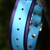 Baby Blue and Purple Rhinestone BioThane Dog Collar