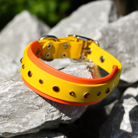 Yellow and Orange Rhinestone BioThane Dog Collar