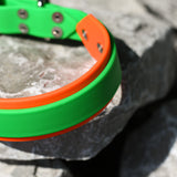 Green and Orange Two-Tone Biothane Dog Collar